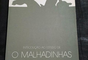 Introdução ao Estudo de O Malhadinhas - Fernando Hilário Ferreira