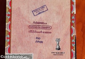 imagem_6