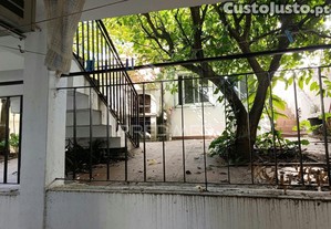 imagem_17