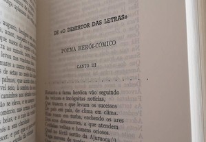 imagem_6