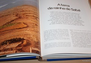 imagem_5