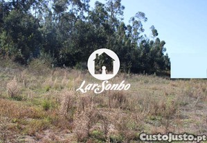 imagem_15