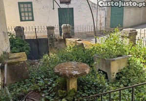 imagem_18