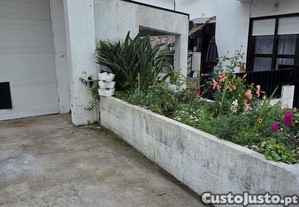 imagem_30