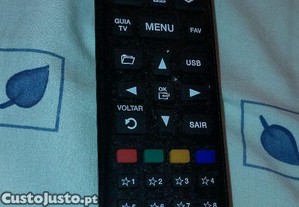 imagem_1