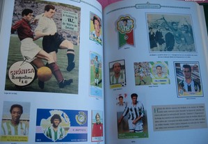 imagem_7