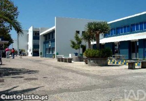 imagem_23