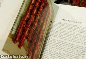 imagem_11