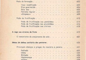imagem_8