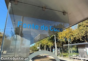 imagem_19
