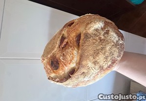 imagem_5