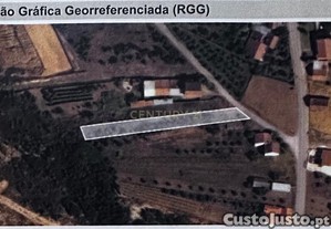 imagem_9