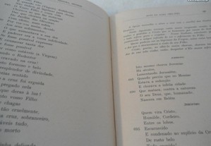 imagem_7