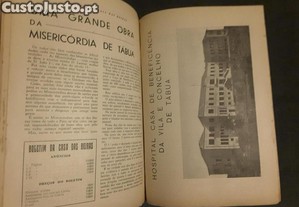imagem_7