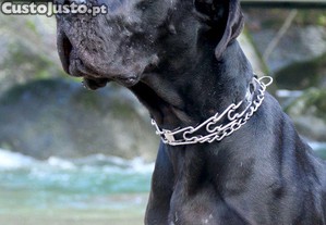 imagem_8