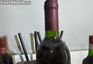 imagem_3