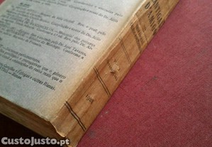 imagem_6
