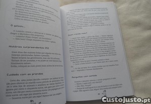 imagem_7