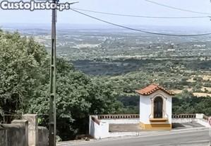 imagem_12