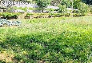 imagem_30