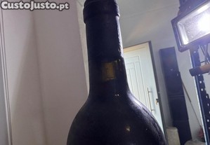 imagem_5