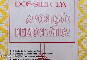 imagem_7