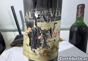 imagem_1