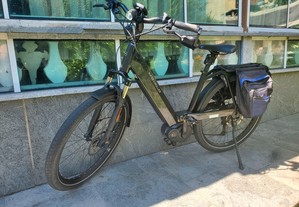 Bicicleta elétrica de 45km/h Riesen & Müller