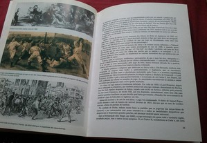 imagem_4