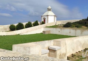 imagem_14