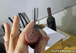 imagem_4