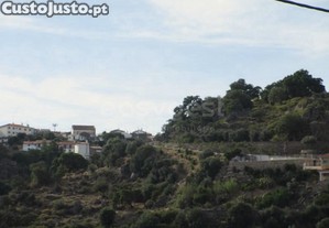 imagem_7