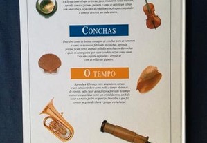 imagem_8