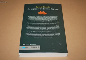 imagem_3