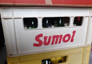 imagem_5