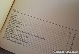 imagem_8