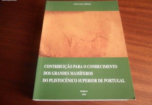 "Contribuição para o Conhecimento dos Grandes Mamíferos do Plistocénico Superior de Portugal"