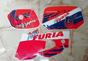 imagem_2