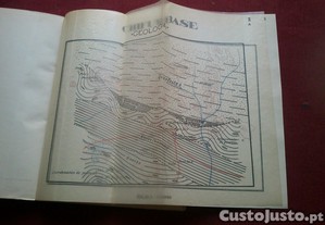 imagem_7