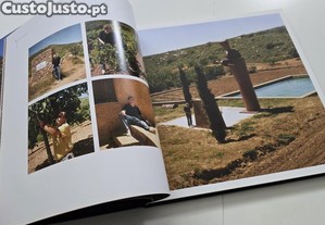 imagem_6