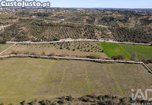 imagem_34