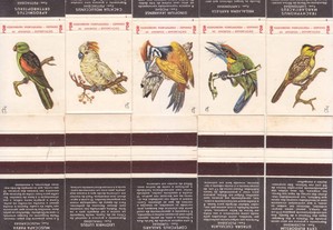 Carteiras Fósforos - Aves (Completa)