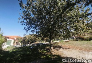 imagem_24