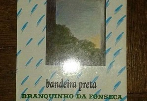 Bandeira preta, de Branquinho da Fonseca.
