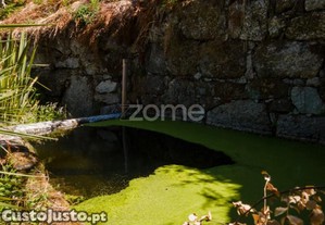 3 Terrenos Rústicos Em Gatão, Amarante.