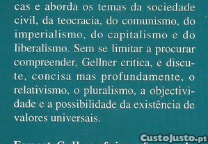 imagem_8