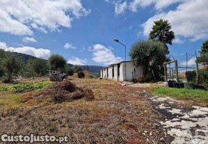 Terreno em Alvados e Alcaria de 3040,00 m²