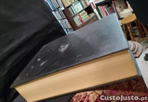 imagem_8
