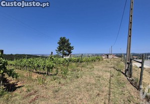 Terreno em Parceiros e Azoia de 2687,00 m²