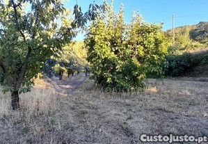 imagem_13